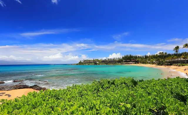 Listing Image for 91b Hui F Rd 33 of 50