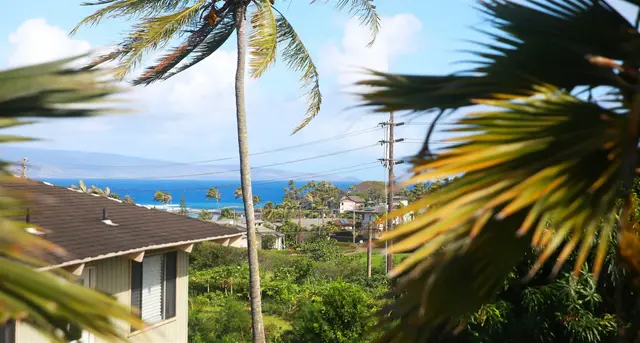 Listing Image for 91b Hui F Rd 50 of 50