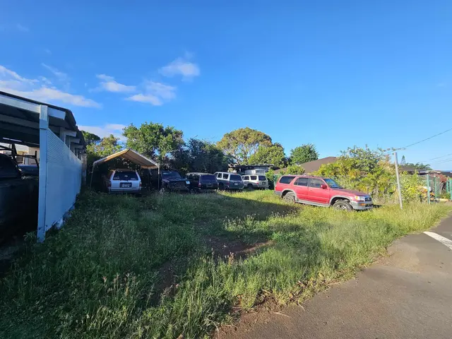 1958 North St, Wailuku, 400958 - 3/5