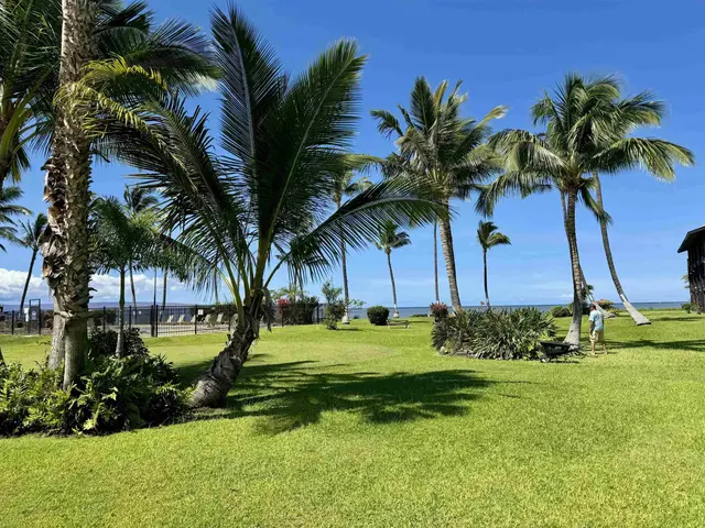 Listing Image for 1000 Kamehameha V Hwy A211 14 of 24