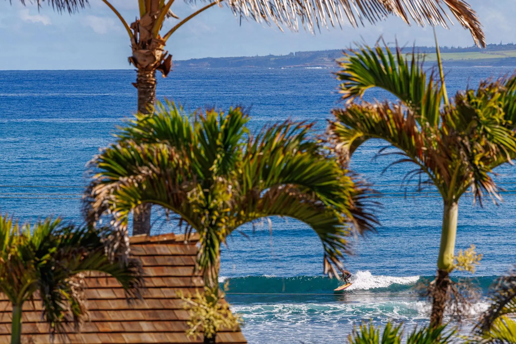 Photo of Listing #408160