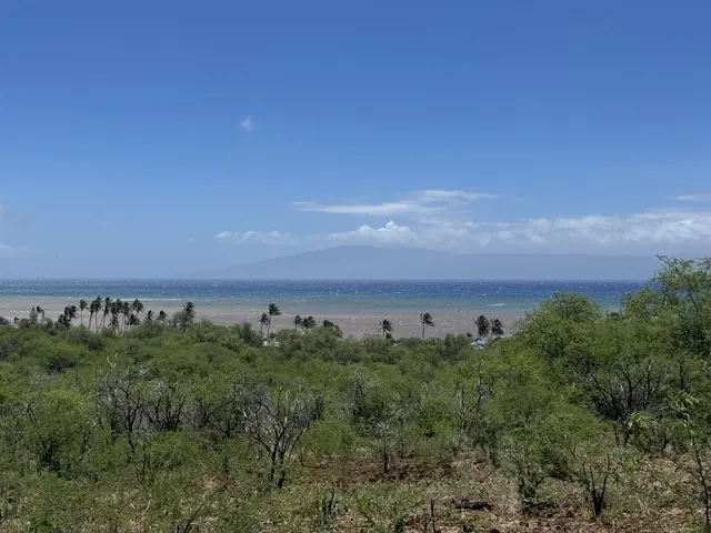 Listing Image for 0 Makanui Rd 241 6 of 21