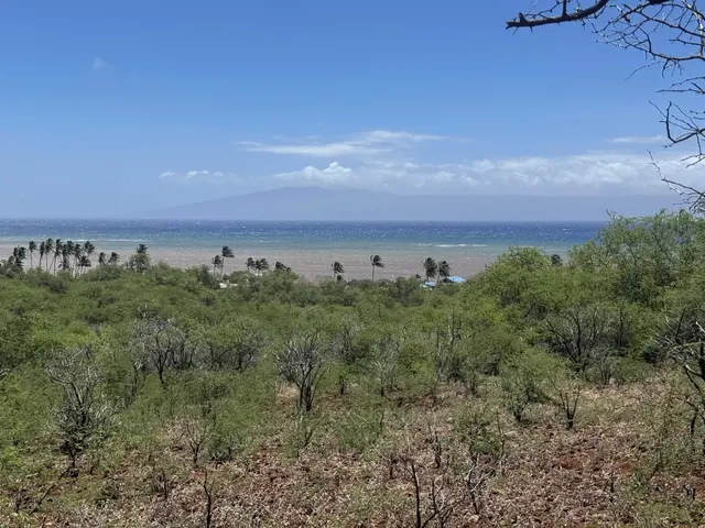 Listing Image for 0 Makanui Rd 241 8 of 21