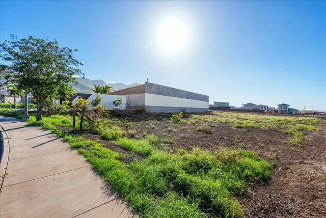 Listing Image for 214 Kupuohi St 8 of 25