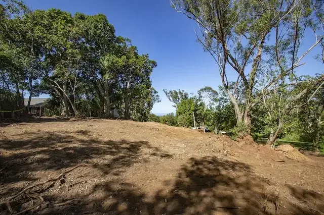 Listing Image for 2597 Ala Olu Pl B 1 of 12