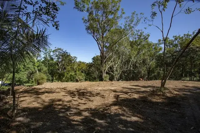 Listing Image for 2597 Ala Olu Pl B 10 of 12