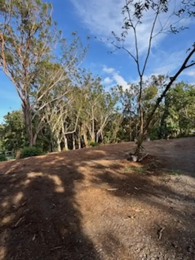 Listing Image for 2597 Ala Olu Pl B 2 of 12