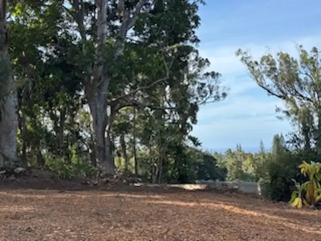 Listing Image for 2597 Ala Olu Pl B 5 of 12