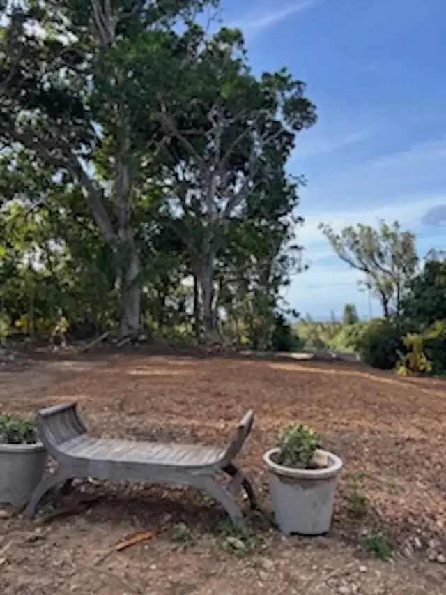 Listing Image for 2597 Ala Olu Pl B 6 of 12