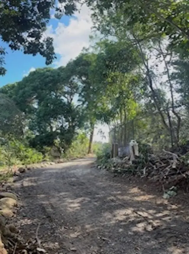 Listing Image for 2597 Ala Olu Pl B 7 of 12