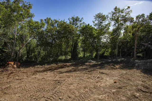 Listing Image for 2597 Ala Olu Pl B 8 of 12