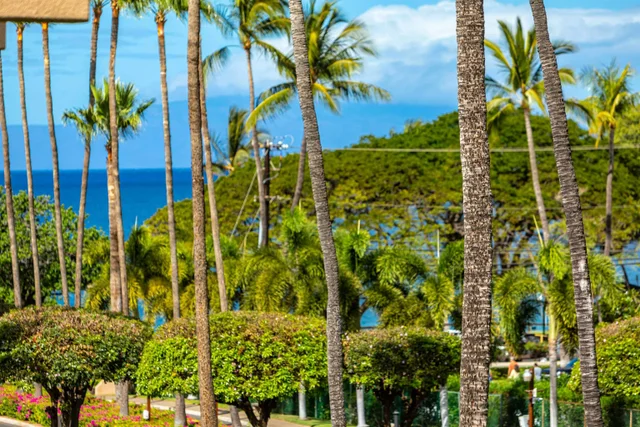 Listing Image for 2695 S Kihei Rd 7308 13 of 42