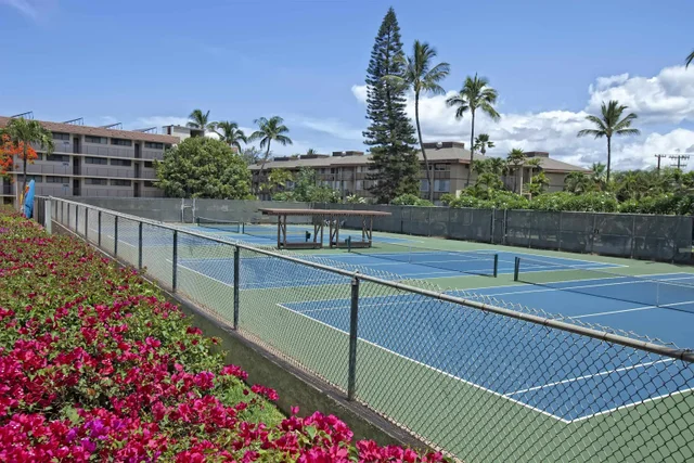 Listing Image for 2695 S Kihei Rd 7308 18 of 42
