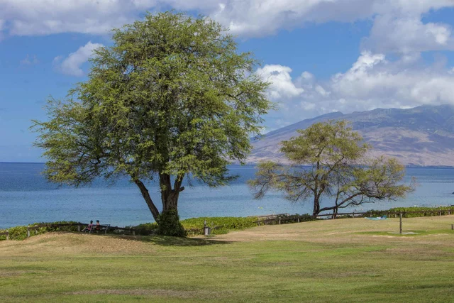 Listing Image for 2695 S Kihei Rd 7308 22 of 42