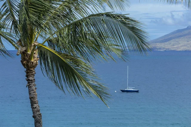 Listing Image for 2695 S Kihei Rd 7308 23 of 42