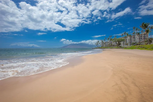 Listing Image for 2695 S Kihei Rd 7308 42 of 42