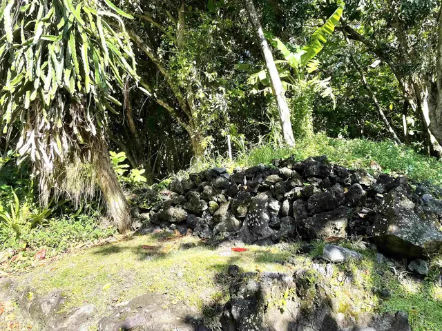 41355 Hana Hwy Hwy, Kipahulu, 402637 - 4/5