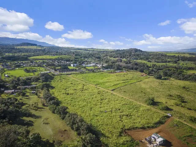 Listing Image for 0 Hana Hwy Lot 59 7 of 14