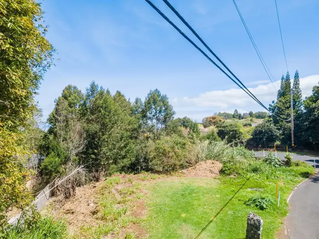 Listing Image for 0 Polipoli Rd 14 of 23