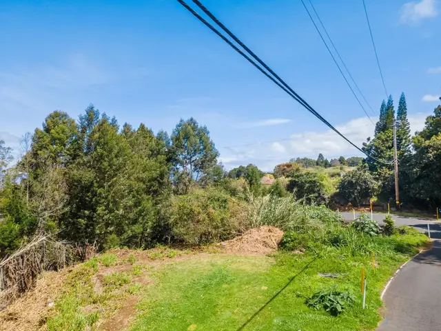 Listing Image for 0 Polipoli Rd 16 of 23