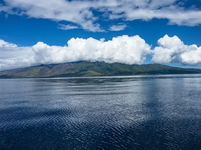 Listing Image for 122 Ulua Rd 21 of 21