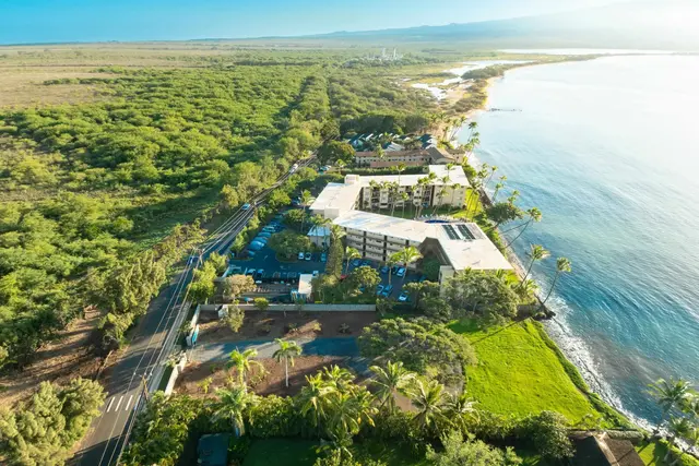 Listing Image for 220 Hauoli St 10 of 26