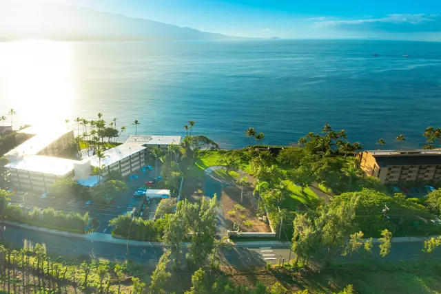 Listing Image for 220 Hauoli St 13 of 26