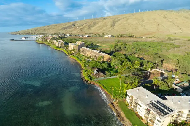 Listing Image for 220 Hauoli St 14 of 26