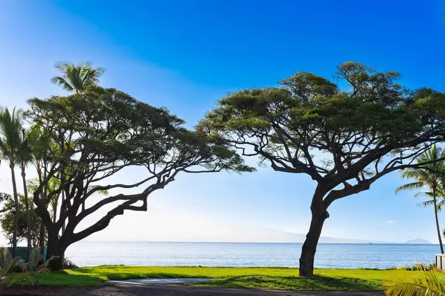 Listing Image for 220 Hauoli St 17 of 26