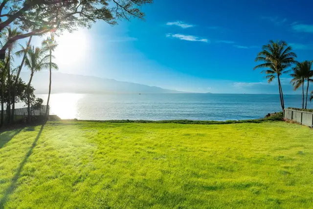 Listing Image for 220 Hauoli St 18 of 26