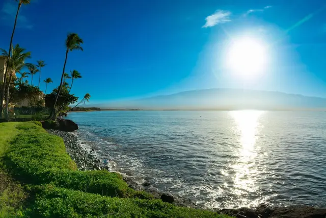 Listing Image for 220 Hauoli St 19 of 26