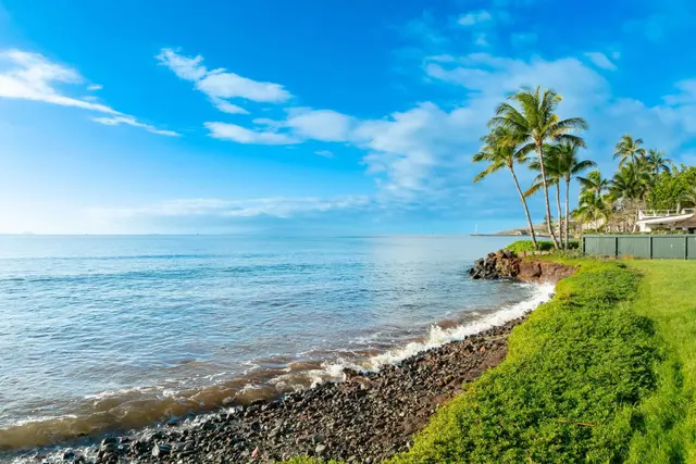 Listing Image for 220 Hauoli St 20 of 26