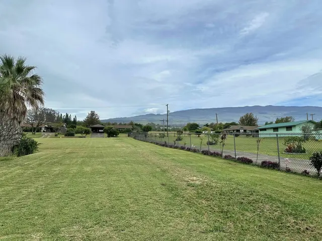 Listing Image for 234 Alalani St 2 of 9