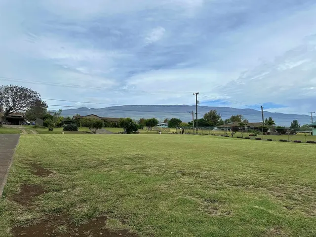 Listing Image for 234 Alalani St 3 of 9