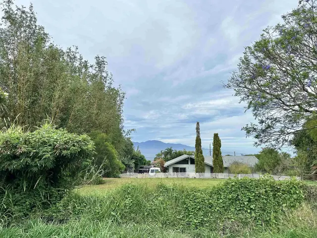 Listing Image for 234 Alalani St 9 of 9