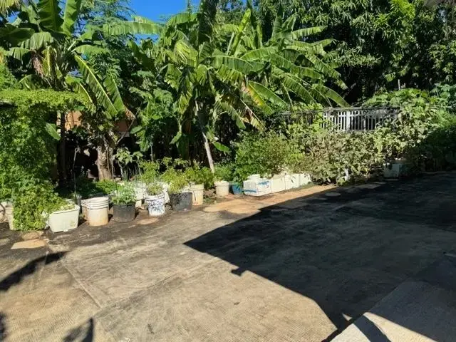 Listing Image for 86 Maiha St 8 of 28