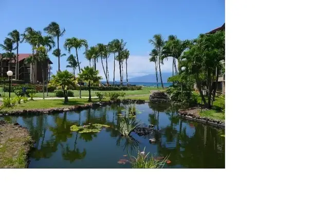 Listing Image for 3543 Lower Honoapiilani Rd E-307 19 of 21