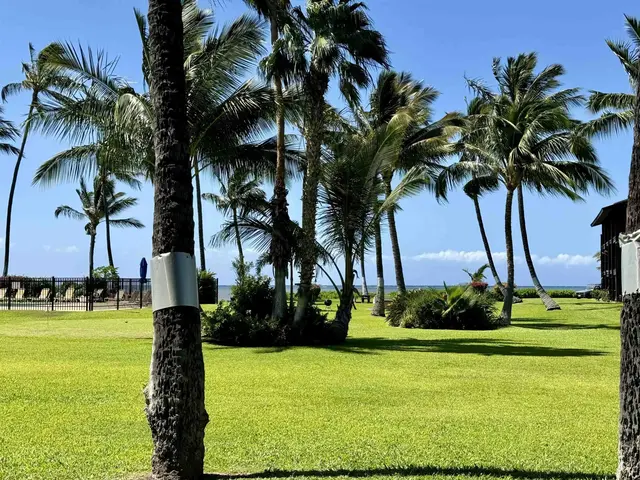 Listing Image for 1000 Kamehameha V Hwy B118 1 of 30