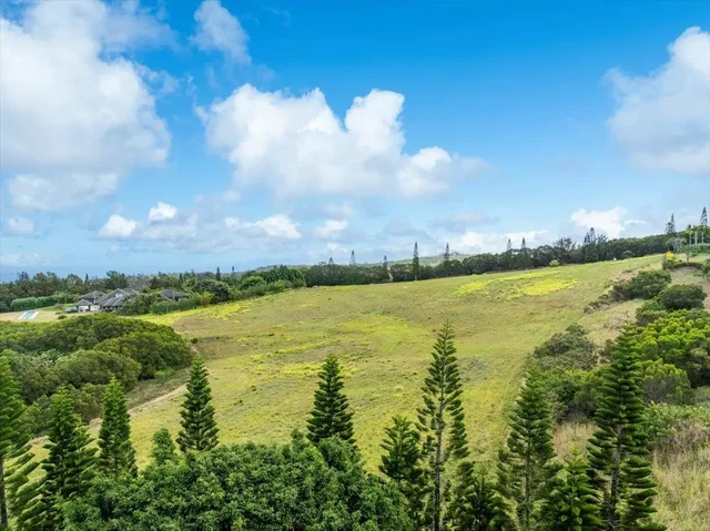 Listing Image for 218 Keoawa St 16 10 of 17