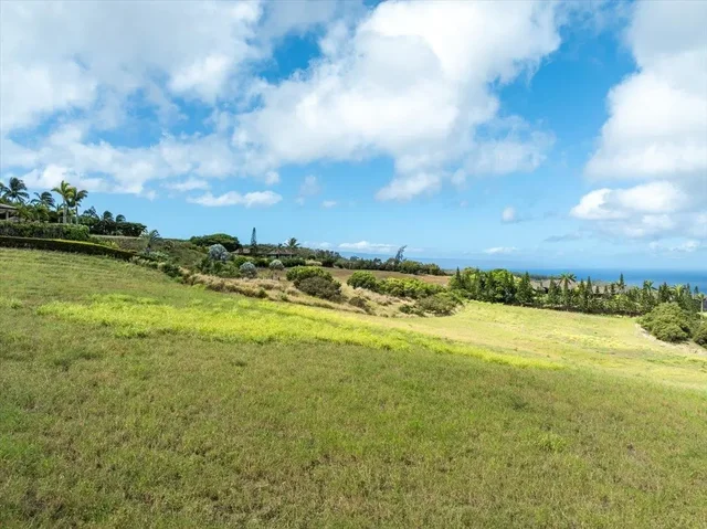 Listing Image for 218 Keoawa St 16 13 of 17