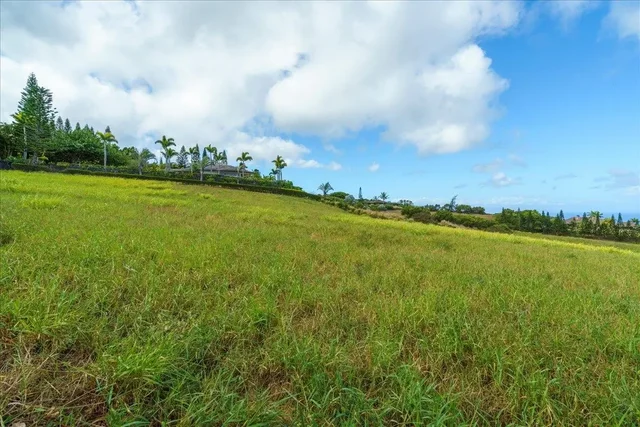 Listing Image for 218 Keoawa St 16 14 of 17