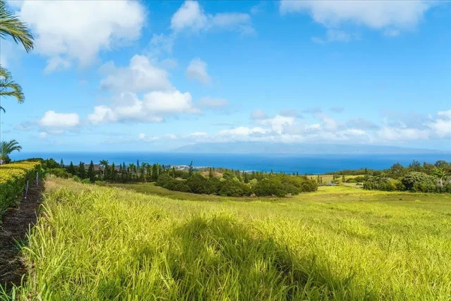 Listing Image for 218 Keoawa St 16 15 of 17