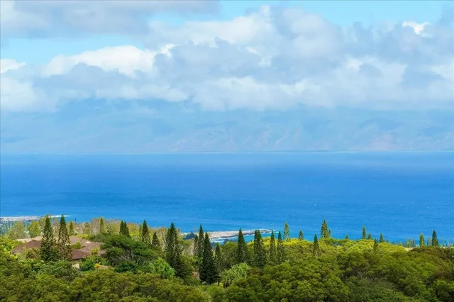 Listing Image for 218 Keoawa St 16 16 of 17