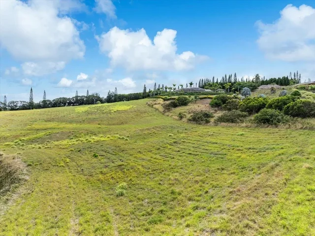 Listing Image for 218 Keoawa St 16 8 of 17