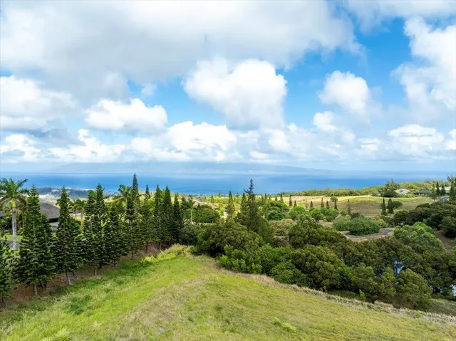 Listing Image for 218 Keoawa St 16 9 of 17