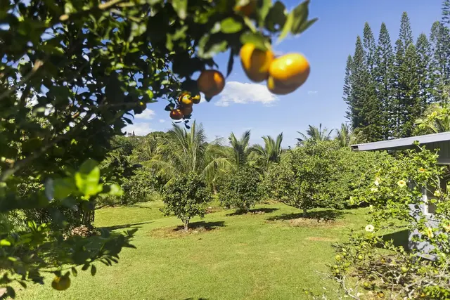 Listing Image for 4174 Hana Hwy 13 of 30