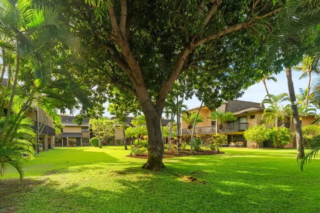 Listing Image for 1299 Uluniu Rd C-105 24 of 34