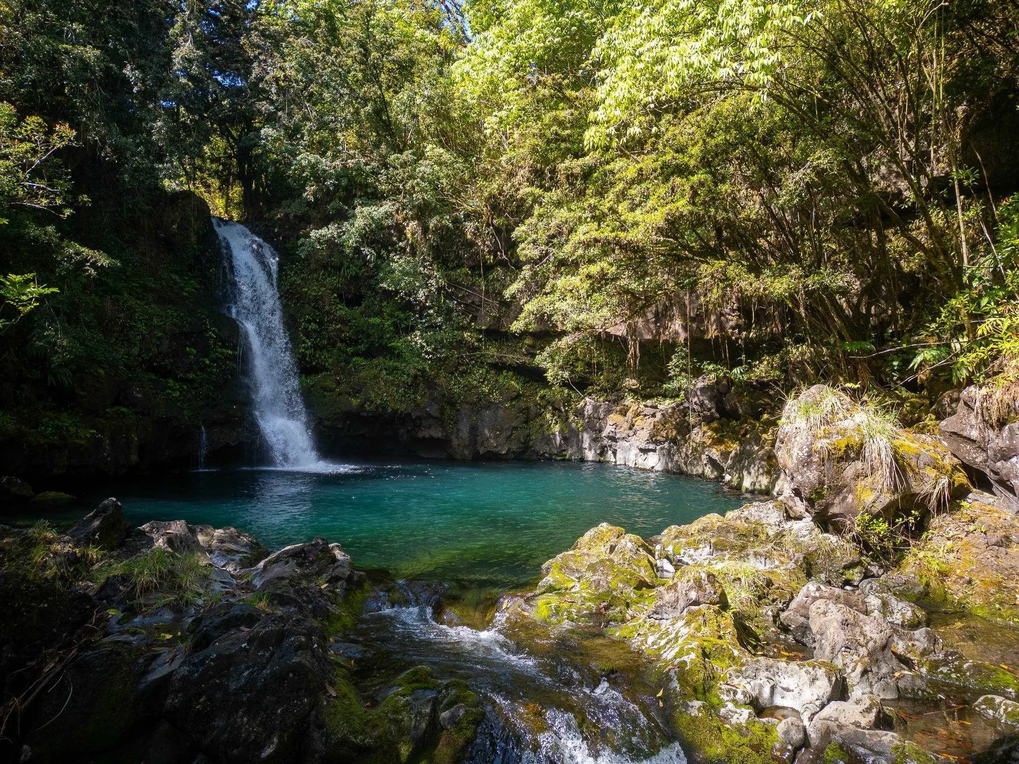 Photo of Listing #407015