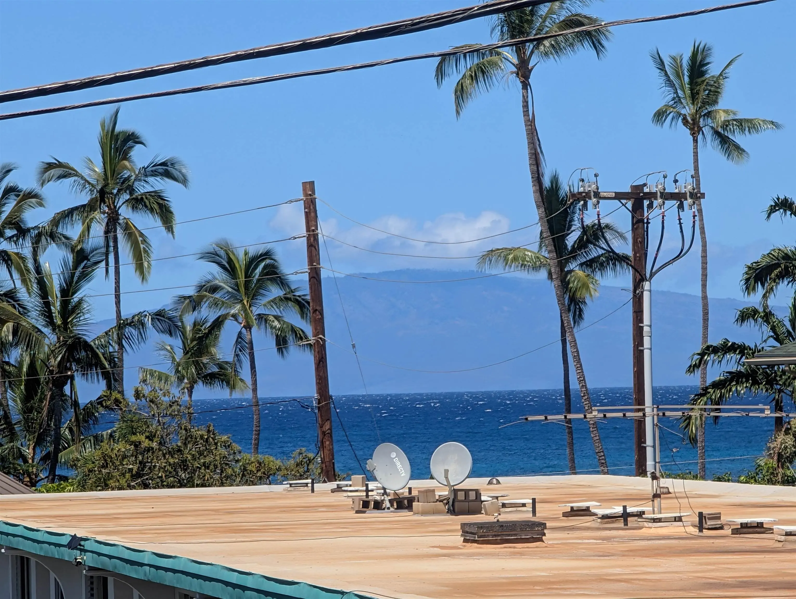 Photo of Listing #409199