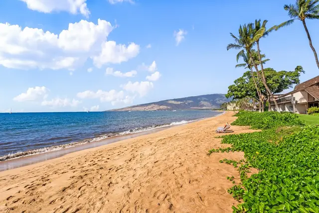 Listing Image for 12 S Kihei Rd C9 34 of 50